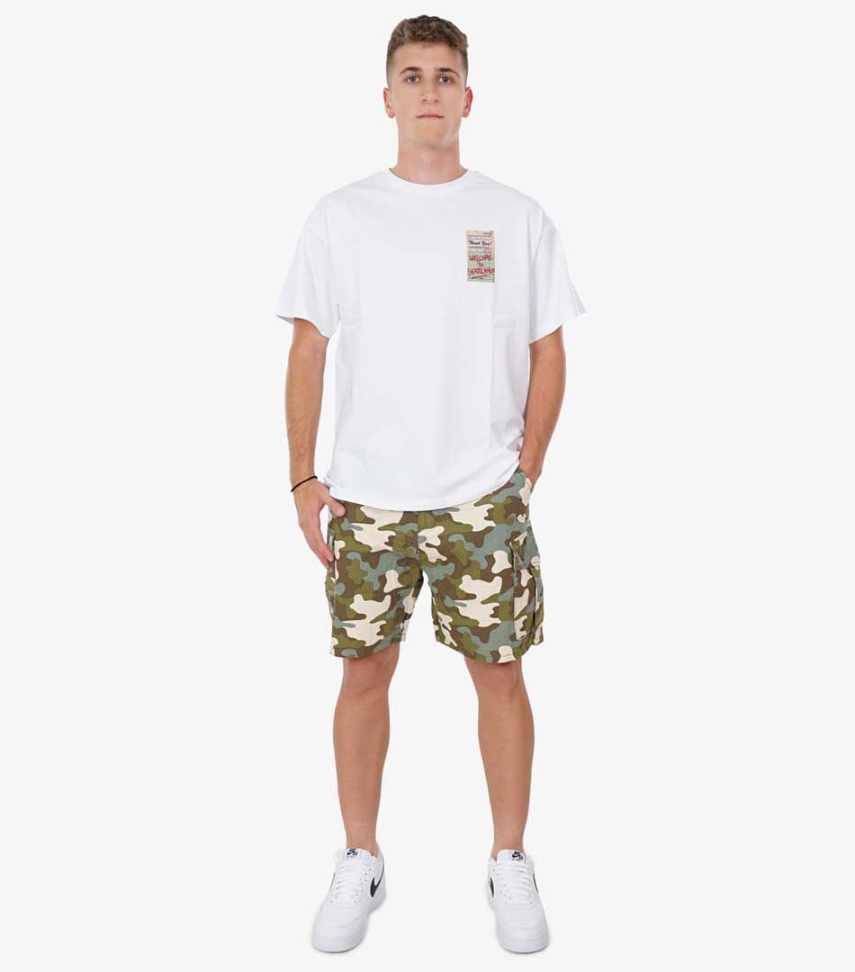 Zoo York Icecream Tee